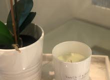 vancleef and arpels candels vancleef and arpels candels