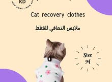 Cat recovery clothes ملابس التعافي للقطط