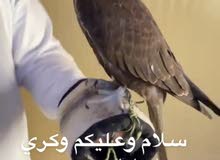 وكري حرار وكري حرار