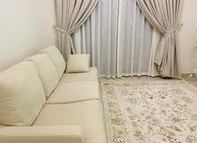 Sofa & Carpets Sofa & Carpets