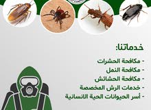 Rubeena Pest control services