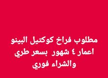مطلوب مطلوب مطلوب