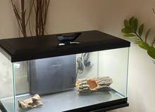 حوض سمك fish aquarium حوض سمك fish aquarium