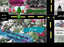 مشتل الساحل مشتل الساحل