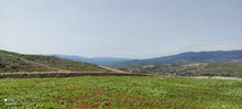 Farm Land for Sale in Jerash Unaybah