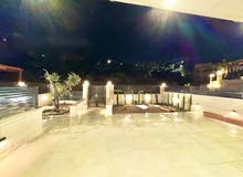 حديقة على مستوى الشارع  ومدخل خاص