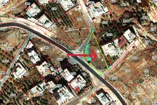 قطعة ارض من اجمل اراضي ابو نصير على ثلاث شوارع قريبة من شارع الاردن اطلالة جميلة ومميزة بسعر حرق