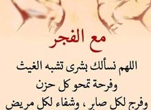مطلوب ممول مطلوب ممول