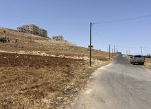 Residential Land for Sale in Amman Shafa Badran