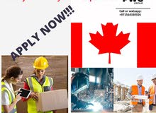 DRIVERS, FARMWORKERS AND WAREHOUSE WORKERS NEEDED IN CANADA