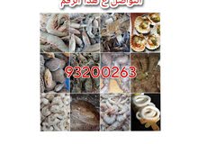 Lobeter Shrimp, squid, octopus, calamari, oysters, seashells, crab, fish