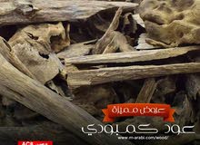 عود كمبودي طبيعي مضمون والشحن مجاني عود كمبودي طبيعي مضمون والشحن مجاني