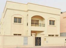 بيت حكومي للايجار مدينه جابر الاحمد بيت حكومي للايجار مدينه جابر الاحمد