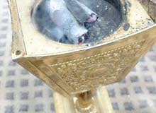 احتاج ممول احتاج ممول