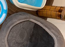 اغراض القطط اغراض القطط
