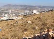 Residential Land for Sale in Nablus Asira Ash-Shamaliya