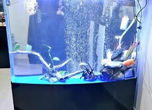 Aquarium 350L all in one wide screen Aquarium 350L all in one wide screen