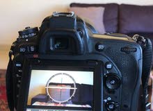 photographer photographer