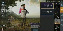pubg global id 61 level pubg global id 61 level