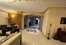 250m2 More than 6 bedrooms Apartments for Sale in Giza El Talbia