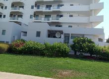 Luxurious flat for rent. Luxurious flat for rent.
