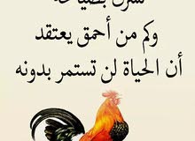 معلم او مساعد بناشر وغيار زيت معلم او مساعد بناشر وغيار زيت