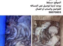 للبيع اخطبوط طازج للبيع اخطبوط طازج