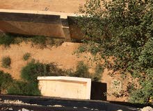 فيلا 3ادوار بجنينة للبيع فيلا 3ادوار بجنينة للبيع