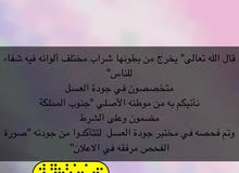 عسل نحله عسل نحله