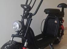 mini Harley scooter