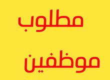 مطلوب محاسب وامين صندوق وامين مستودع مطلوب محاسب وامين صندوق وامين مستودع