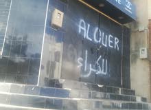 تيبازة تيبازة