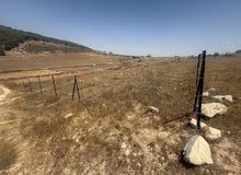 Residential Land for Sale in Tubas Other