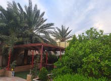 3 Bedrooms Chalet for Rent in Jordan Valley Ghor Al Kafrain