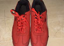 puma ferrari shoes for sale