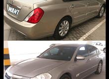 رينولت سافران رينولت سافران