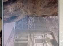 برواز البتراء الجديد