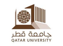 University Teacher University Teacher