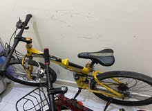 Bicycle for Sale : BMX : Mountaing Bike : Accessories : Cheapest Prices in  Sharjah