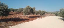 Mixed Use Land for Sale in Jenin Other