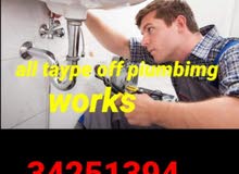 All type of plumbing work and bulding mantinace all