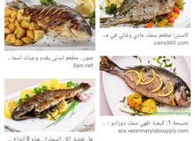بشكل عاجل مطلوب شيف مصري للبيع وشوي الاسماك ولماكولات البحريه بشكل عاجل مطلوب شيف مصري للبيع وشوي الاسماك ولماكولات البحريه