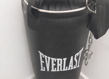 Everlast Black Boxing Heavy Bag