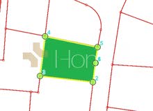 Residential Land for Sale in Amman Marj El Hamam