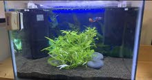 حوض اسماك مع معداته aquarium حوض اسماك مع معداته aquarium
