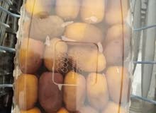 بلح فريش الواحات البحريه بلح فريش الواحات البحريه