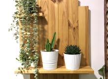 WALL SHELVES WALL SHELVES