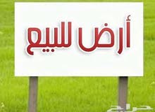 قطعة ارض سكنية للبيع سيمافرو البيفي بالقرب من سوق المزرعه قطعة ارض سكنية للبيع سيمافرو البيفي بالقرب من سوق المزرعه