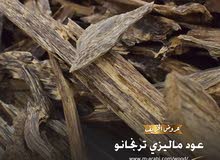 عود ترنجانو طبيعي ماليزي عود ترنجانو طبيعي ماليزي