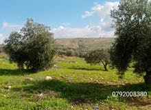 Farm Land for Sale in Jerash Other